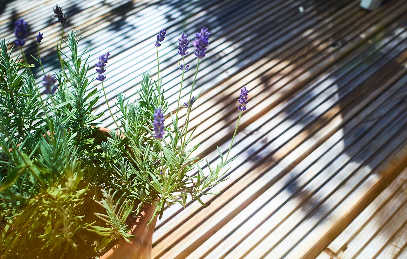 Terrassendielen aus Holz für Ihren Garten Nahaufnahme einer Holzterrasse